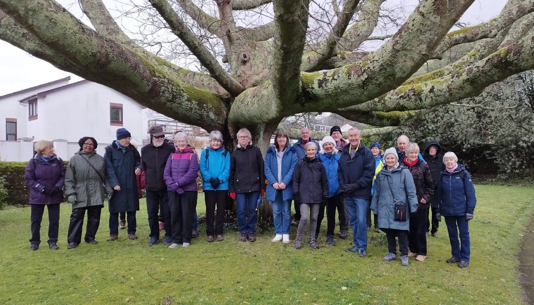 photo of group of Dawlish walkers - medium group, 2026